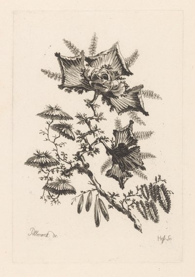Fiori a forma di aquilone da Johann Heinrich  Hess