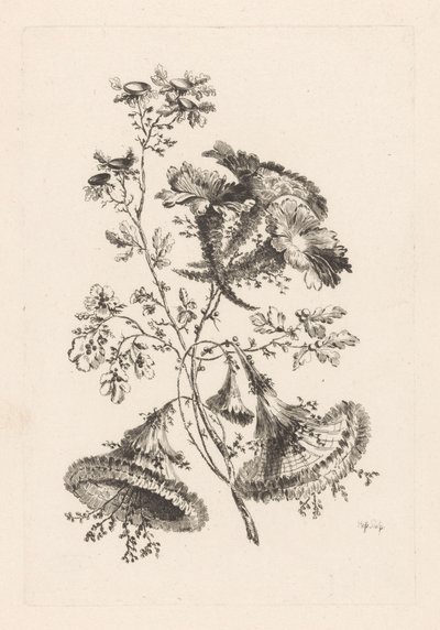 Fiori triangolari da Johann Heinrich  Hess