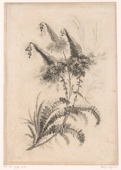 Fiori appuntiti da Johann Heinrich  Hess