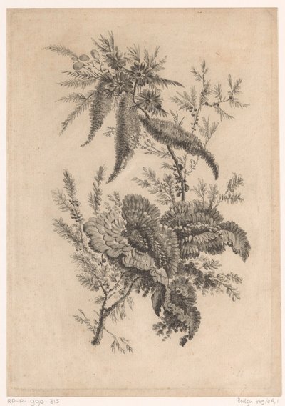 Rose selvatiche da Johann Heinrich  Hess
