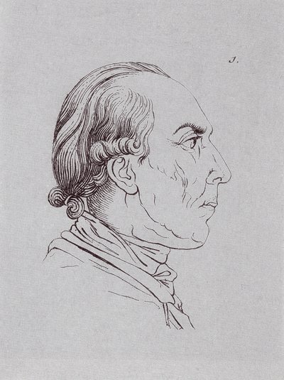 HUBrennwaldi da Johann Heinrich Lips