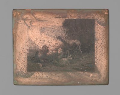 Quattro pecore da Johann Heinrich Maria Hubert Rennefeld (signed by artist)