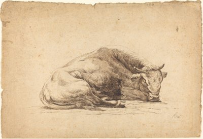 Un toro che dorme da Johann Heinrich Roos