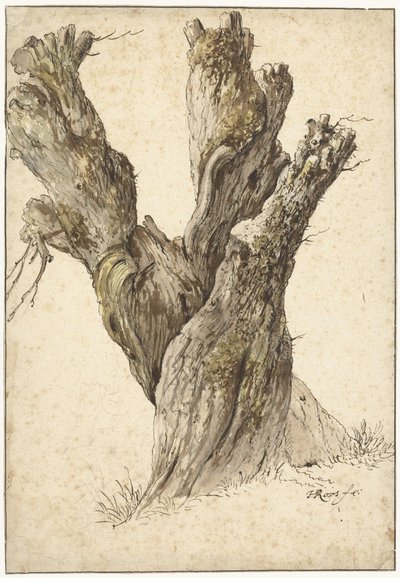  da Johann Heinrich Roos