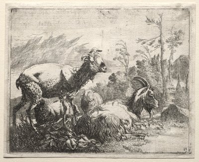 Capre da Johann Heinrich Roos