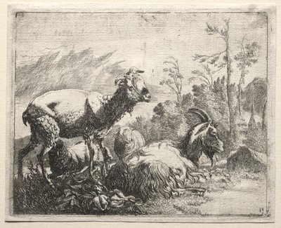 Capre, 1665 da Johann Heinrich Roos
