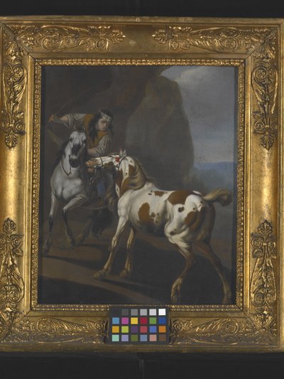 Indiano che doma un cavallo da Johann Heinrich Roos