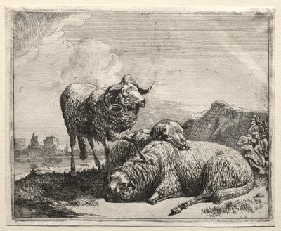 Ariete e Due Pecore da Johann Heinrich Roos