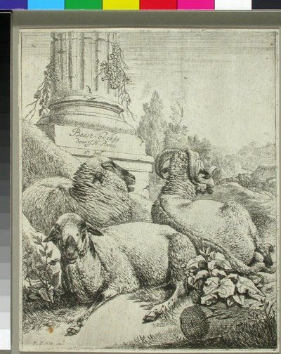  da Johann Heinrich Roos