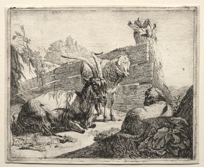 La siepe, 1665 da Johann Heinrich Roos