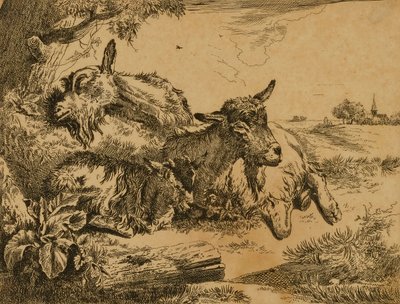 Due capre e un bambino da Johann Heinrich Roos
