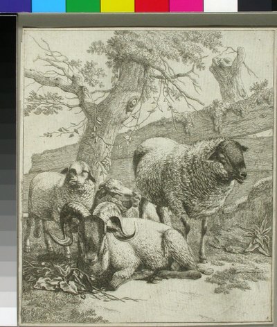  da Johann Heinrich Roos