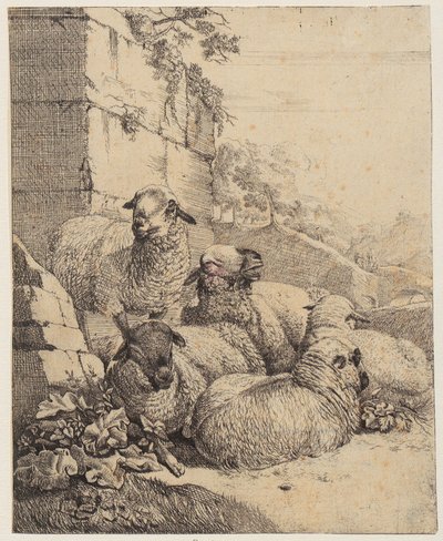  da Johann Heinrich Roos