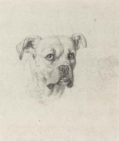 Un pugile da Johann Heinrich Wilhelm Tischbein