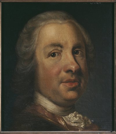 Ritratto di Charles Emil Lewenhaupt il Vecchio da Johann Henrik Scheffel