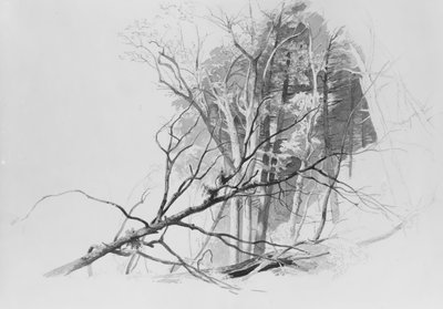 Scena forestale da Johann Hermann Carmiencke