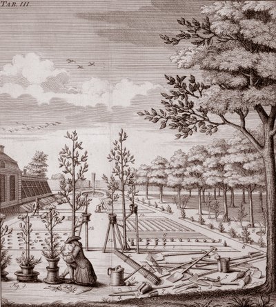 Illustrazione di una scena di giardino, 1753 da Johann Hermann Knoop