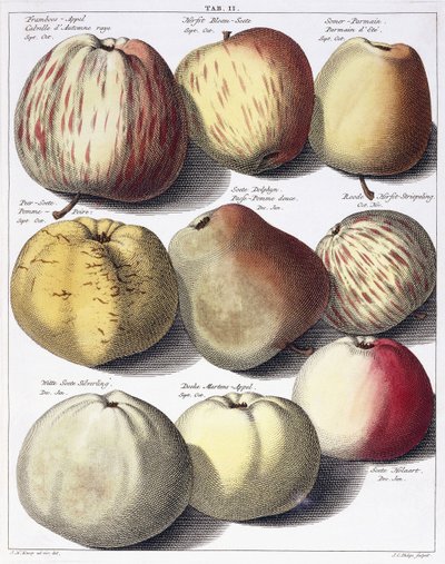 Varie mele da Johann Hermann Knoop