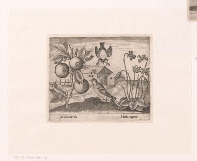 Serie di stampe con fiori e animali in un paesaggio da Johann Hogenberg