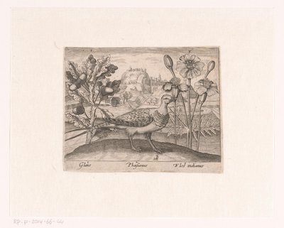 Serie di stampe con fiori e animali in un paesaggio da Johann Hogenberg