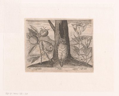 Serie di stampe con fiori e animali in un paesaggio da Johann Hogenberg