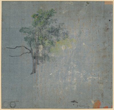 Studi di alberi, prima metà del 1800 da Johann Jacob Dorner