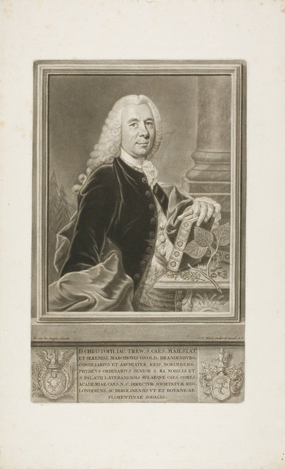 D. Christopher Jacob Trew, da Plantae Selectae da Johann Jacob Haid