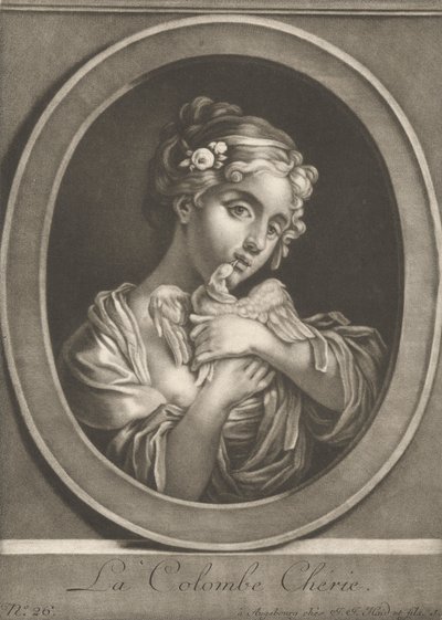 La colomba cara da Johann Jacobus Haid