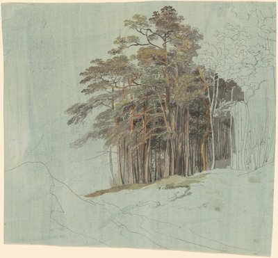 Studio di pini da Johann Jakob Dorner the younger