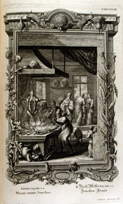 Illustrazione da Physique sacree, ou Histoire-naturelle de la Bible da Johann Jakob Scheuchzer