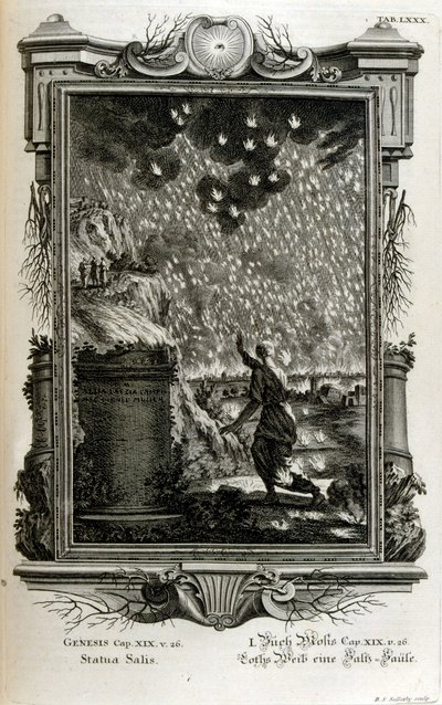 La moglie di Lot si trasforma in una colonna di sale da Johann Jakob Scheuchzer