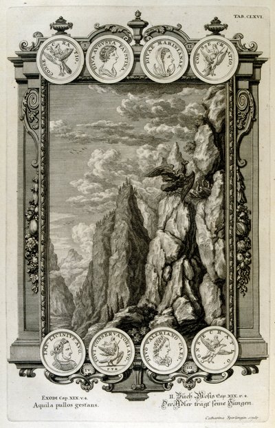 Zeus simboleggiato come un