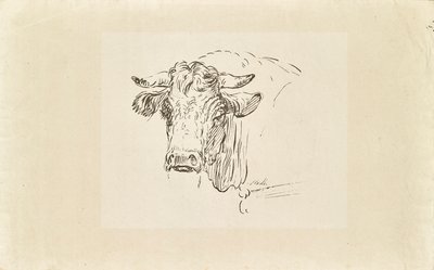 Testa di toro da Johann Josef Schindler
