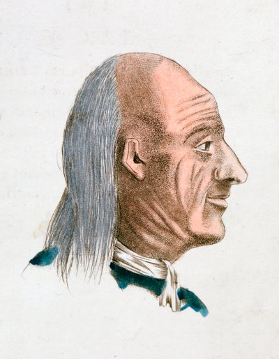 Le caratteristiche facciali di una persona gioviale e gentile da Johann Kaspar Lavater