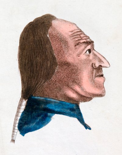 Le caratteristiche facciali di una persona dal temperamento rapido, 1808 da Johann Kaspar Lavater
