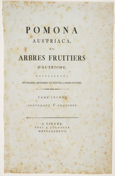 Pagina del titolo da 