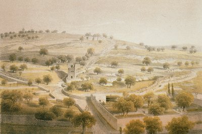 Getsemani, Monte degli Ulivi. Incisione di Bernatz et alii - Steinkopk J.F. Editore da Johann Martin Bernatz