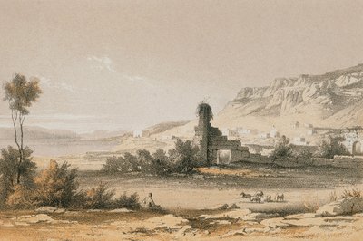 Magdala (Majdal Shams). Incisione di Bernatz et alii - Steinkopk J.F. Editore da Johann Martin Bernatz