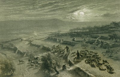 La Valle dei Pastori a Betlemme. Incisione di Bernatz et alii - Steinkopk J.F. Editore da Johann Martin Bernatz