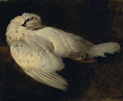 Pernice morta da Johann Matthias Ranftl