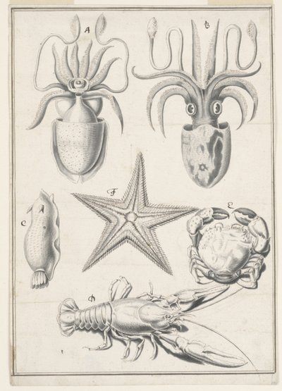 Quinto Giorno di Lavoro da Johann Melchior Füssli