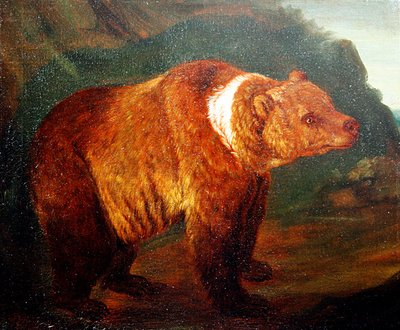 Un orso bruno in un paesaggio, c.1719 da Johann Melchior Roos