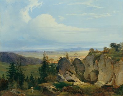 La brughiera di Wiener-Neustadt vista da Wetzelsdorf da Johann Nepomuk Passini
