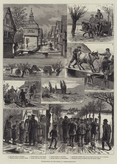 Inondazioni del Reno in Assia-Darmstadt da Johann Nepomuk Schonberg