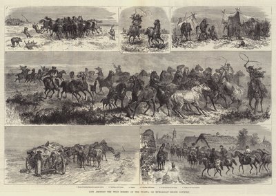 Vita tra i cavalli selvaggi della Puszta, o campagna ungherese da Johann Nepomuk Schonberg