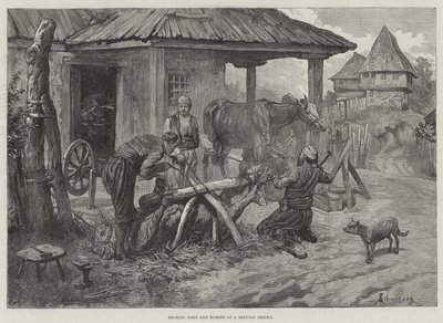 Ferratura di buoi e cavalli in una fucina serba da Johann Nepomuk Schonberg