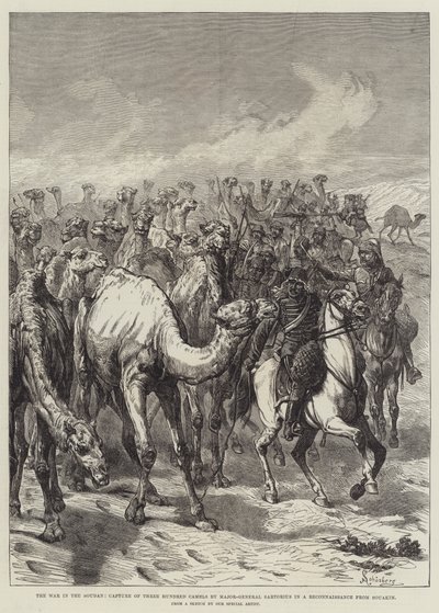 La guerra nel Sudan, cattura di trecento cammelli da parte del maggiore generale Sartorius in una ricognizione da Souakim da Johann Nepomuk Schonberg