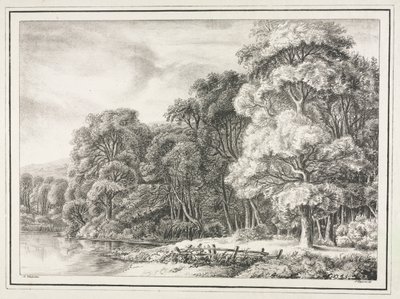 Paesaggio boschivo con lago da Johann Nepomuk Strixner