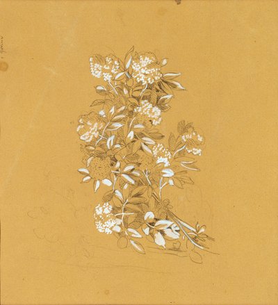 Bouquet di fiori da Johann Peter Krafft