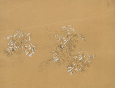 Boscaglia da Johann Peter Krafft